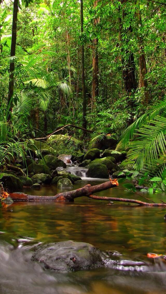 Gombe Stream National Park — Tanzania
