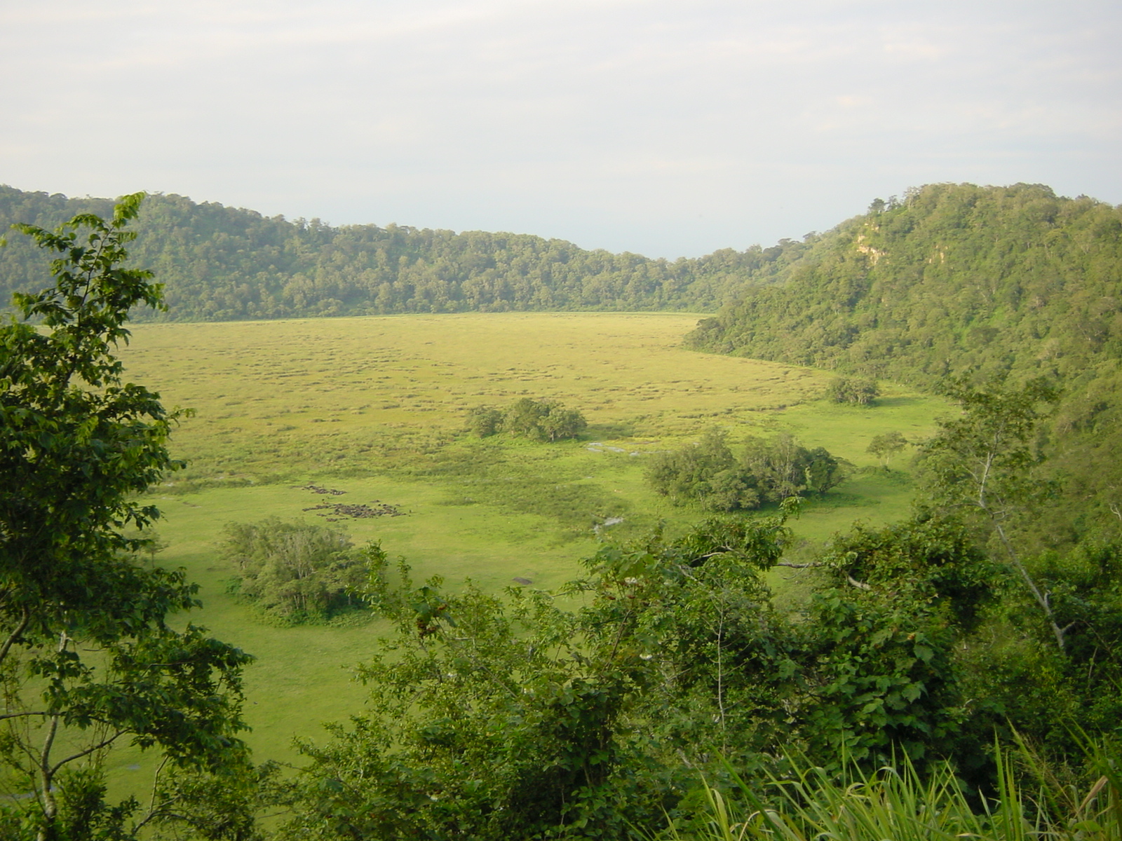 Arusha National Park — Tanzania