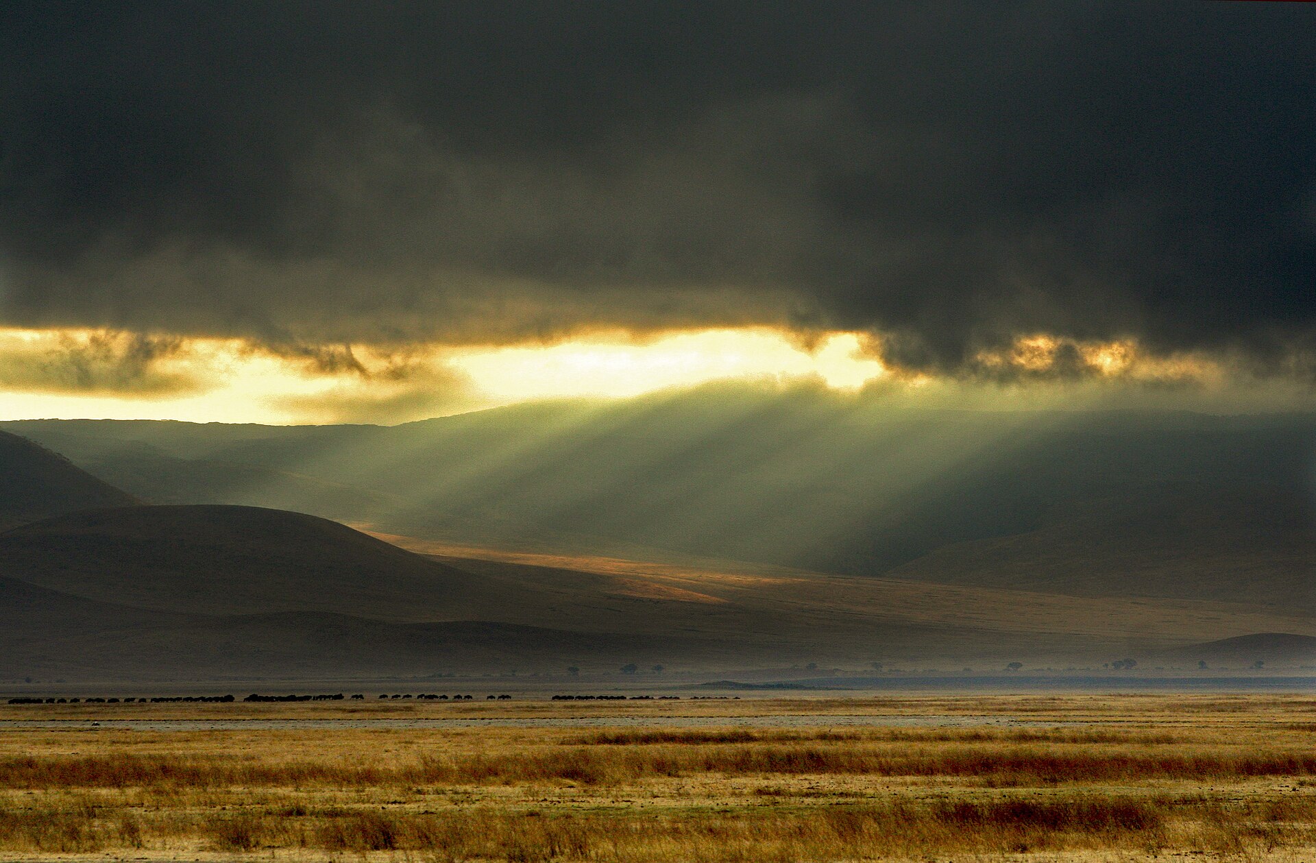 Ngorongoro landscape illustration