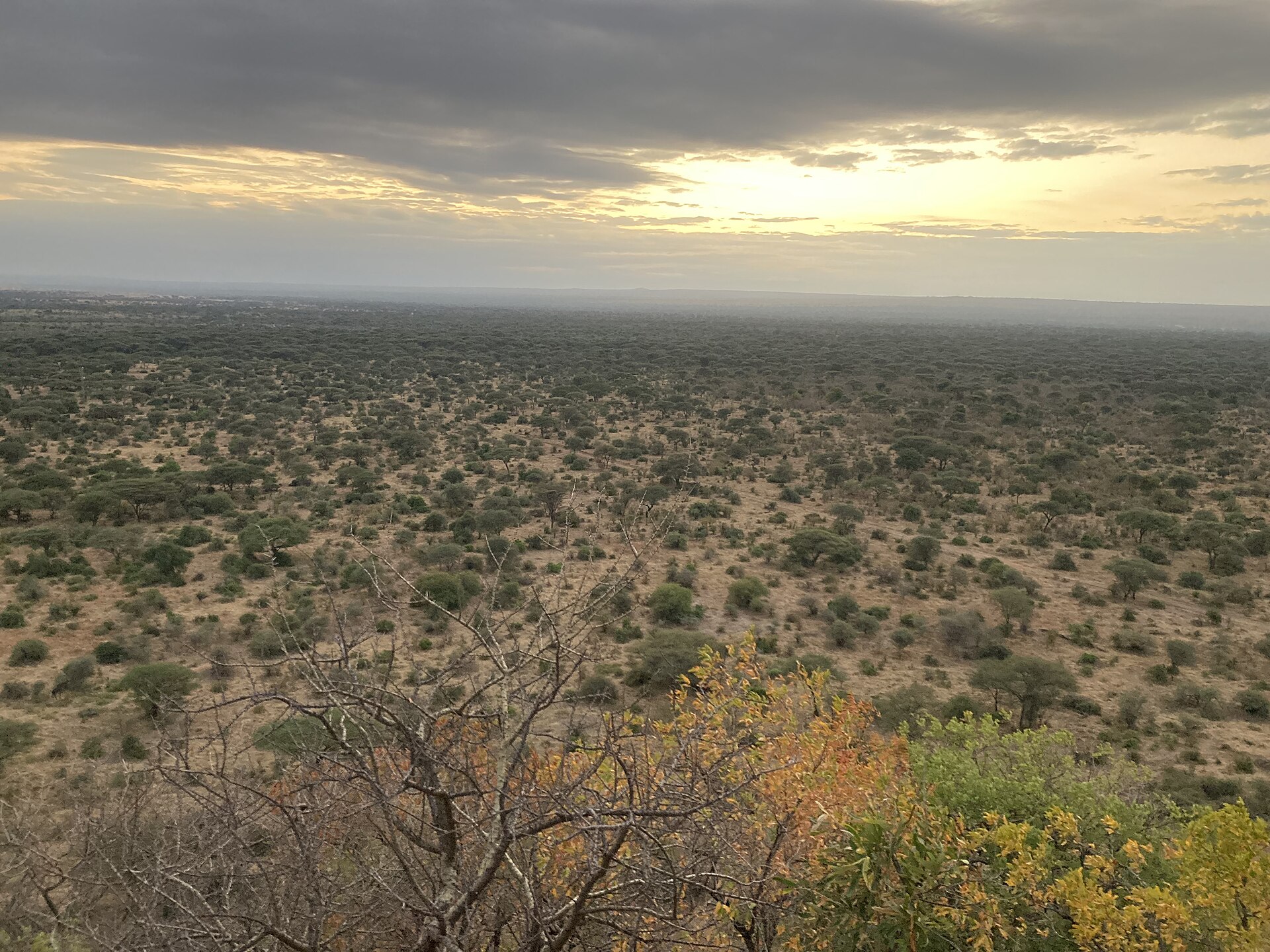 Tarangire, Tanzania