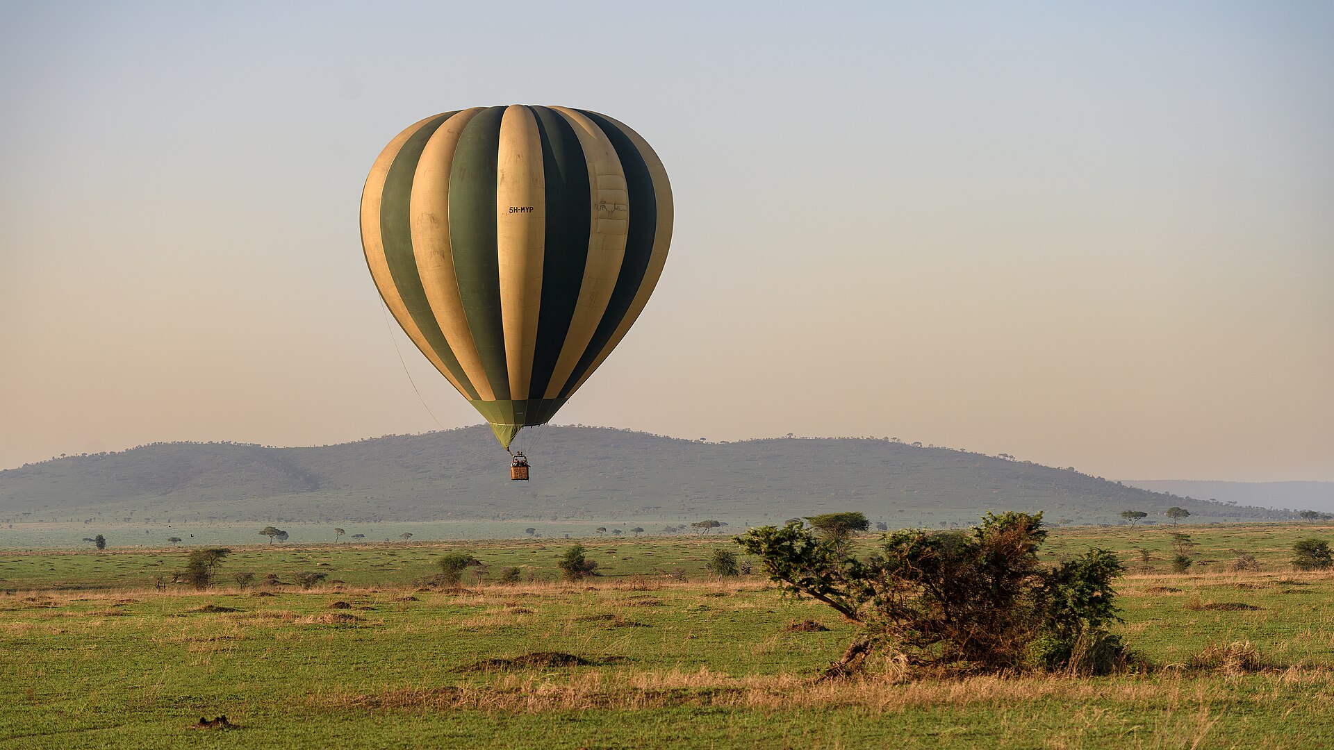 Evenings in the Serengeti