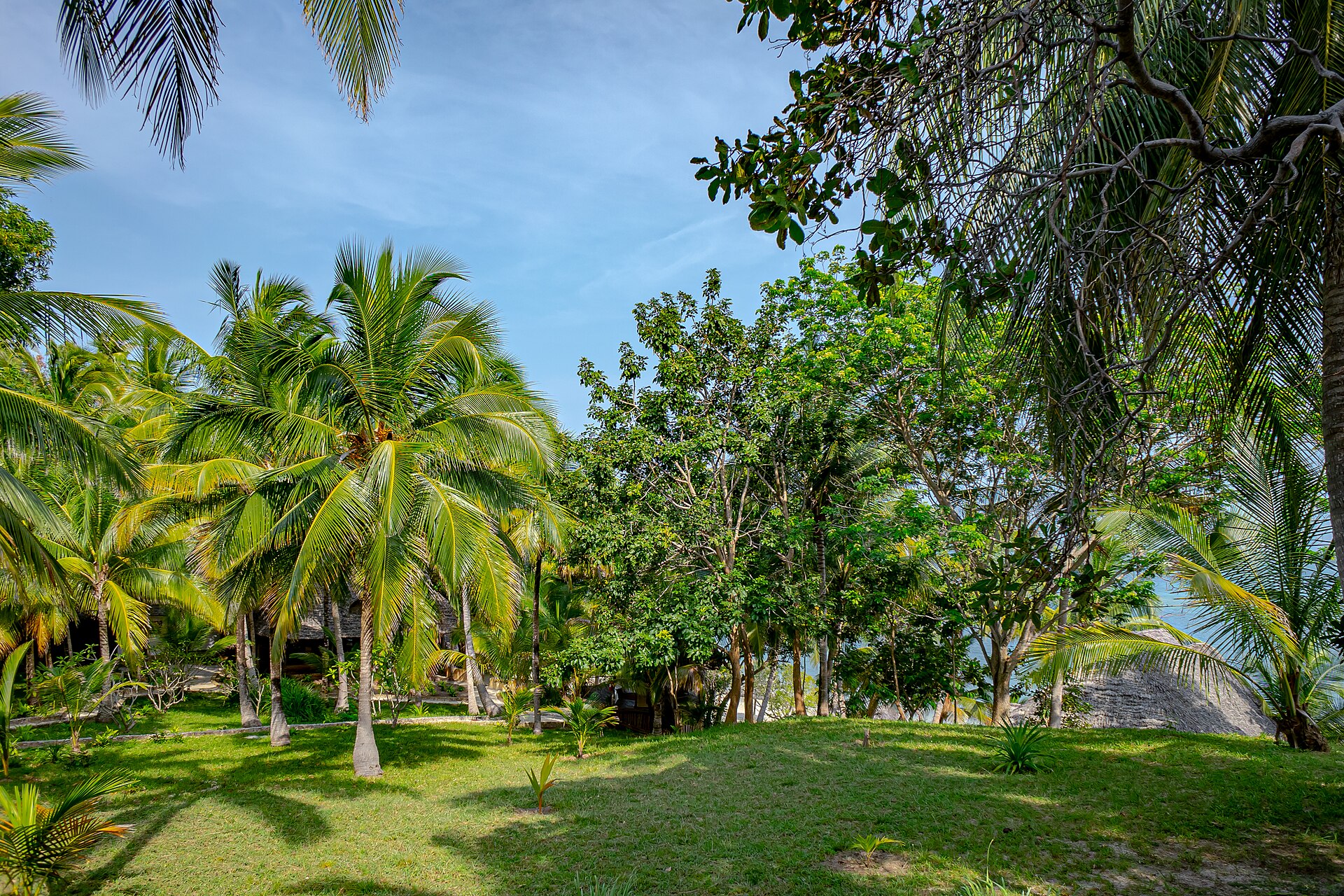 Mafia Island Marine Park — Tanzania