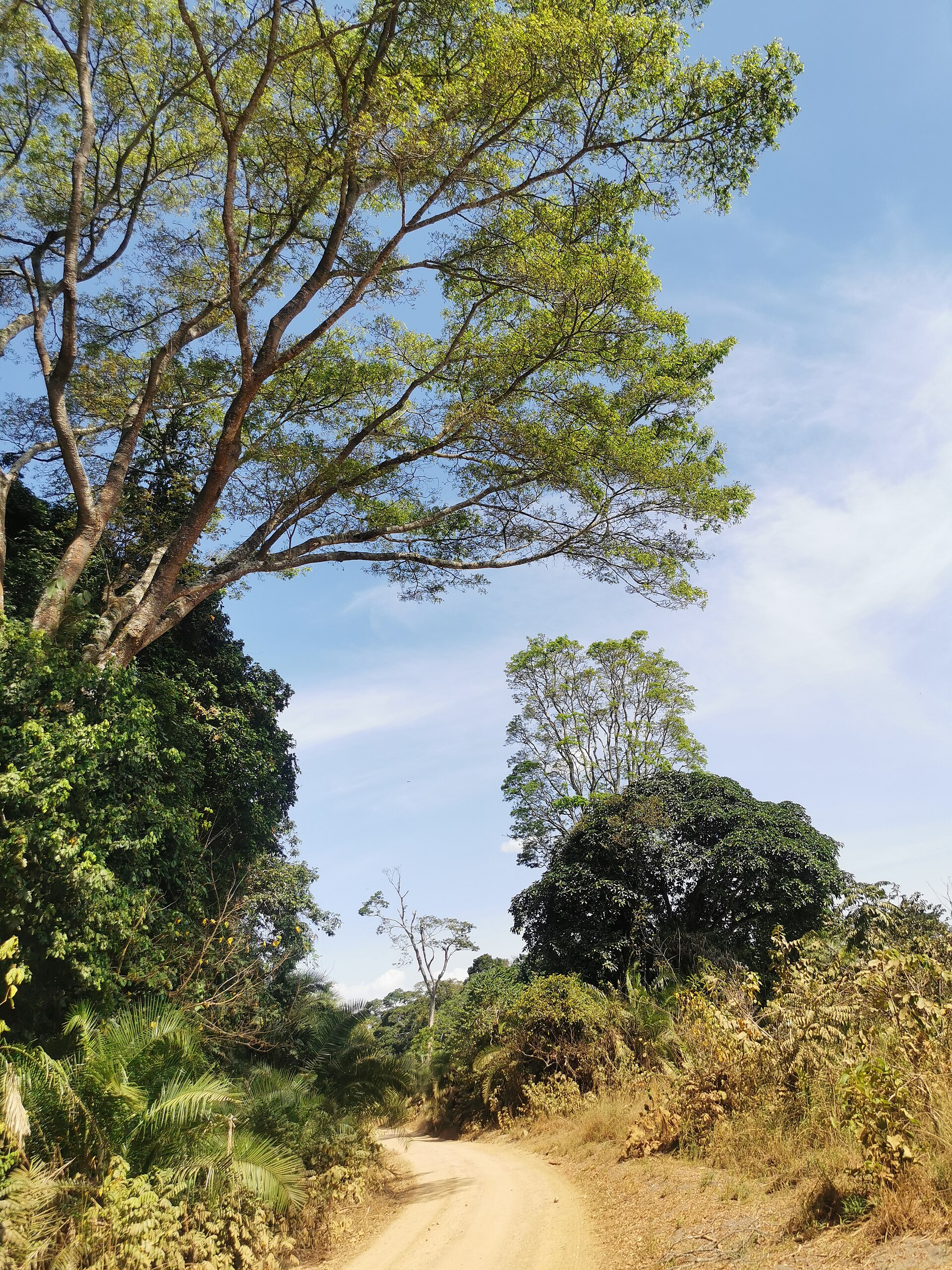 Rubondo Island National Park — Tanzania